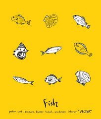 해산물 일러스트 / 손으로 그린 수산물 그림