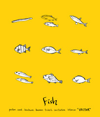 해산물 일러스트 / 손으로 그린 수산물 그림