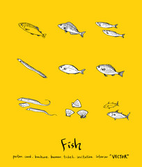 해산물 일러스트 / 손으로 그린 수산물 그림