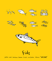 해산물 일러스트 / 손으로 그린 수산물 그림