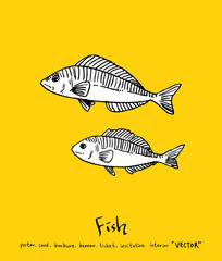 해산물 일러스트 / 손으로 그린 수산물 그림