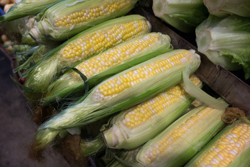 Fresh ear of corn