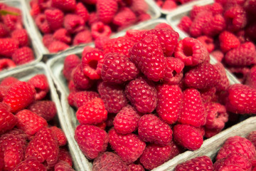Fresh red raspberry