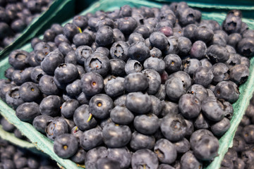 Fresh Blueberry fruit