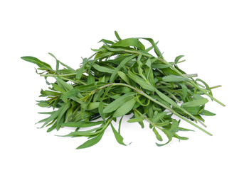 french tarragon isolated on white background