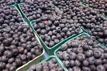 Fresh Blueberry fruit