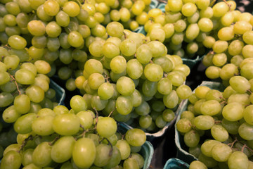 Fresh green grape