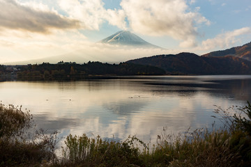 Fototapeta premium 富士山・朝・河口湖