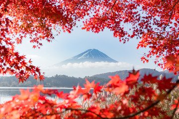 富士山・河口湖・もみじ・秋