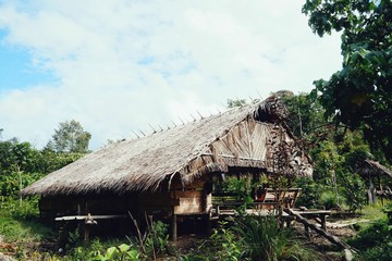 Fototapeta na wymiar Muara Siberut, Mentawai Islands / Indonesia - Aug 15 2017: tribal jungle home