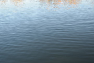 Golden leaves reflecting on blue water
