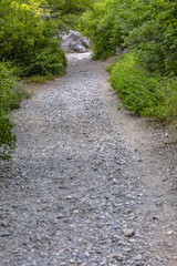 Trail leading to Squaw Peak with foliage