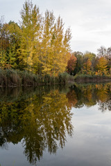 Fototapeta na wymiar Fall in the Anfrignon Park in Montreal, Canada. 