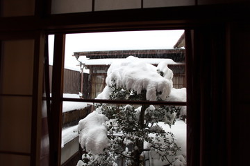 窓の外は雪