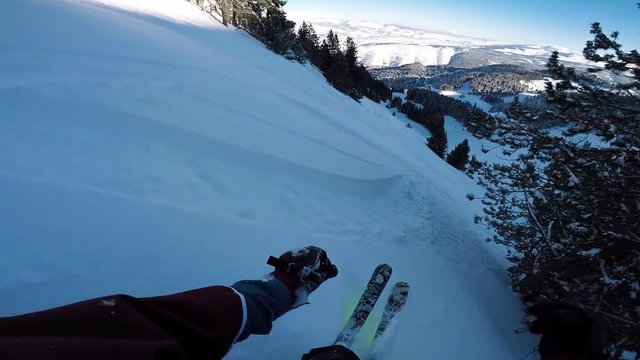 POV Firts person view of freeride skier skiing in powder snow