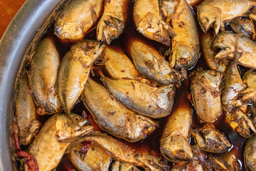 patoo Fish
