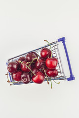 Ripe cherries in a shopping cart isolated
