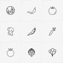 Vegetables line icon set with carrot, tomato  and artichoke