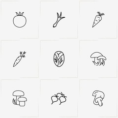 Vegetables line icon set with mushrooms, brussels sprouts and radish