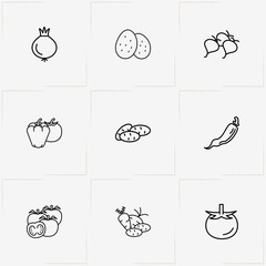 Vegetables line icon set with beetroot , vegetables and potato