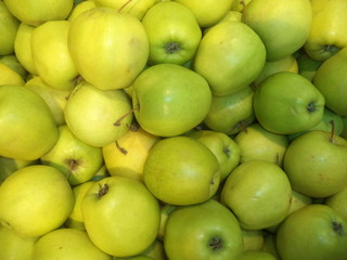 fresh sweet green apples