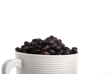 Coffee cup and beans on white background.