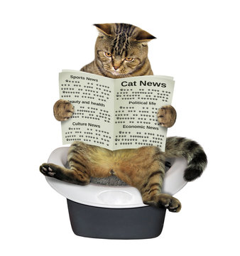 The cat is sitting on the toilet and reading a newspaper. White background.