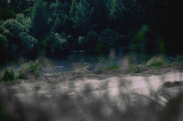 FOREST. MOUNTAINS.SKY.NATURE.FREEDOM.INDEPENDENCE. PLANT.RIVER