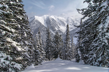 A beautiful mountain landscape in the mountains of Lake Baikal