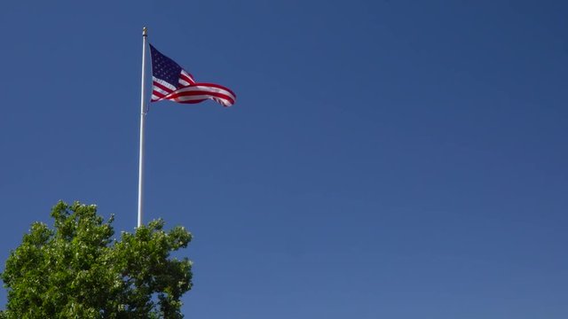 American Flag waving above tree blue sky