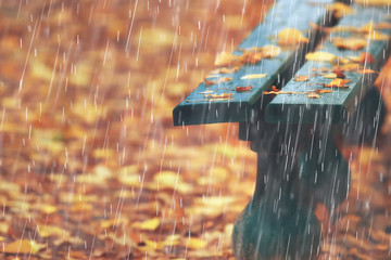 autumn rain background / bench in the park under the autumn rain, walk in cold weather, bad weather...