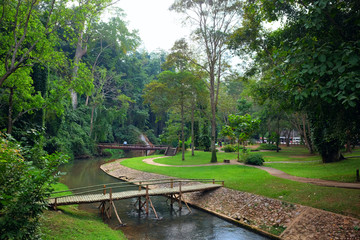 Naklejka premium Beautiful nature forest with wooden bridge hanging bridge over the stream in mountain at Thailand