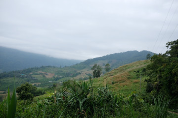 Beautiful landscape natural light in the morning fog and blue sky on the mountain and the sunrise shining to the mist in forest northern of Thailand.