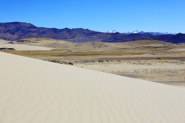 desert landscape of nature