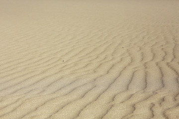 texture desert land sand dunes barkhans, deserts
