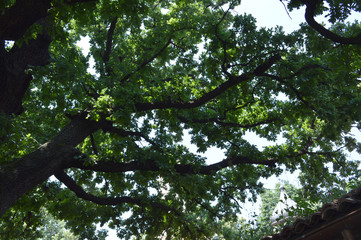 City of Ruse, Bulgaria