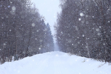 Naklejka premium snow fog landscape snowfall / winter landscape cold seasonal weather, nature in winter form, foggy outside
