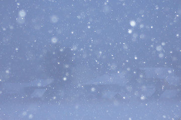 snow fog landscape snowfall / winter landscape cold seasonal weather, nature in winter form, foggy outside