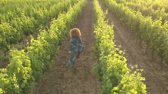 Aerial footage of a girl running around a vineyard in Provence, the South of France showing the rows of grapevines at sunset