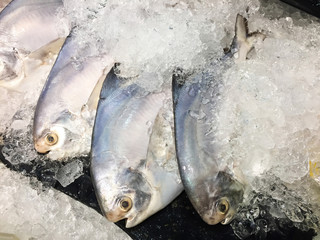 Raw seafood selling on ice in fresh market Thailand