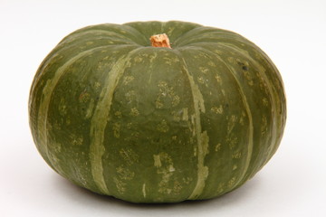 カボチャ04