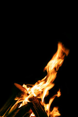 Fototapeta premium Abstrakt, Lagerfeuer in der Nacht, Flammen und Feuer vor Hintergrund Schwarz