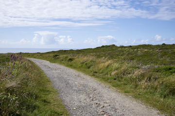 Fototapeta na wymiar Hiking trails at the coastline in Cornwall, England
