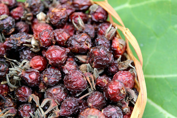 small basket of dried wild rosehip for medicinal tea