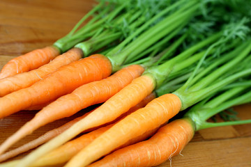 fresh harvest of young juicy fresh carrots with leaves