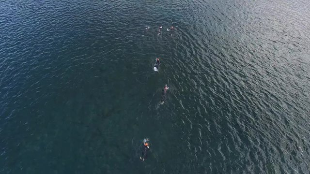 Aerial view of swimmers racing