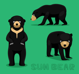 Bear Sun Bear Cartoon Vector Illustration