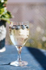 Sektglas mit Heidelbeeren auf Balkon, Urlaub