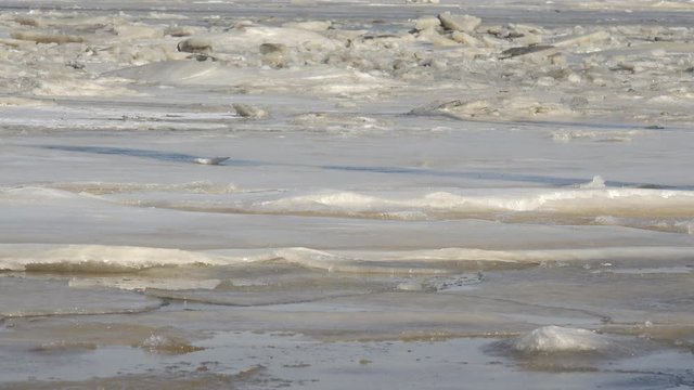 Ice Floes on the north sea