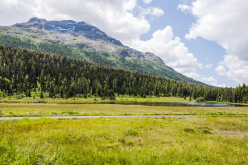 Obraz premium St. Moritz, Stazersee, Bergsee, Stazerwald, Rosatschgruppe, Alpen, Badesee, Wanderweg, Waldweg, Engadin, Oberengadin, Graubünden, Sommer, Schweiz